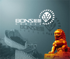 四川柏獅光電技術(shù)有限公司 宣傳冊設(shè)計