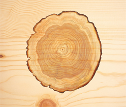 木業(yè)公司品牌宣傳,木地板公司網(wǎng)站設(shè)計(jì)