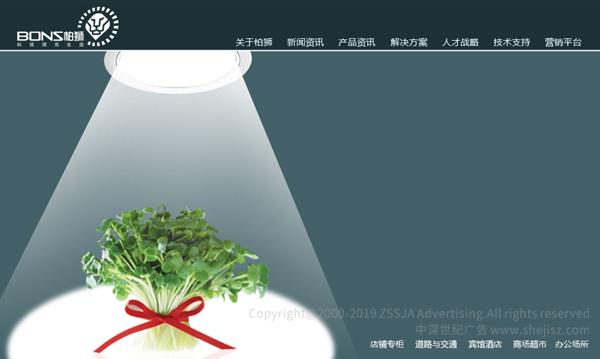 柏獅光電技術(shù)有限公司 網(wǎng)站設(shè)計