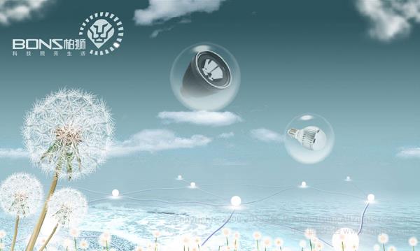 柏獅光電技術(shù)有限公司 網(wǎng)站設(shè)計