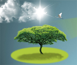 多媒體互聯(lián)網(wǎng)設(shè)計(jì),光電公司網(wǎng)站設(shè)計(jì)