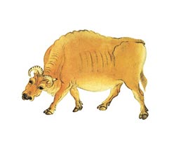 展覽廣告設計,品牌宣傳