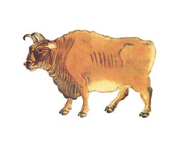 品牌宣傳,展會設計,深圳展會設計公司