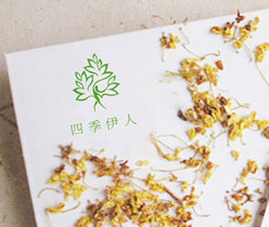 四季伊人美容會所 美容會所logo設(shè)計