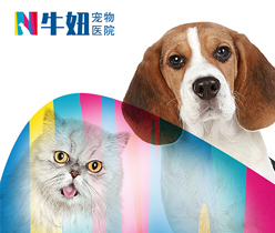 醫(yī)院醫(yī)療機構(gòu)標(biāo)志設(shè)計,醫(yī)藥logo設(shè)計