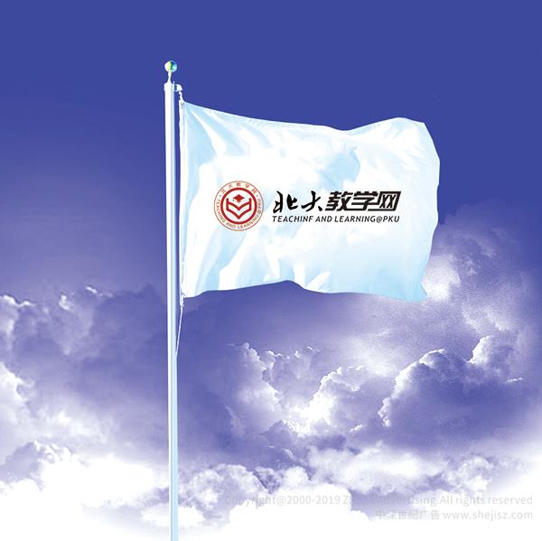 北大教學(xué)網(wǎng) 網(wǎng)站標(biāo)志設(shè)計(jì)