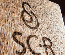 面膜標(biāo)志設(shè)計,深圳商標(biāo)設(shè)計